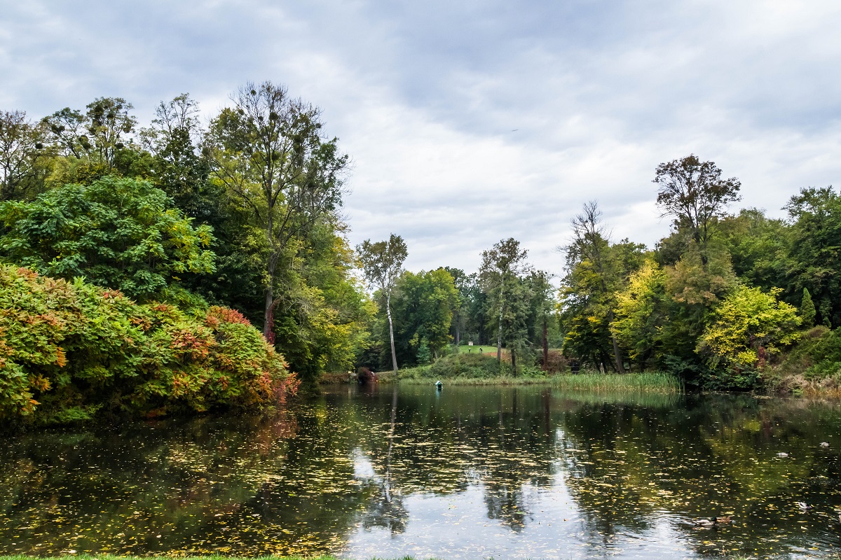 Маршрут вихідного дня: яскраві локації неподалік від Києва для подорожі автомобілем
