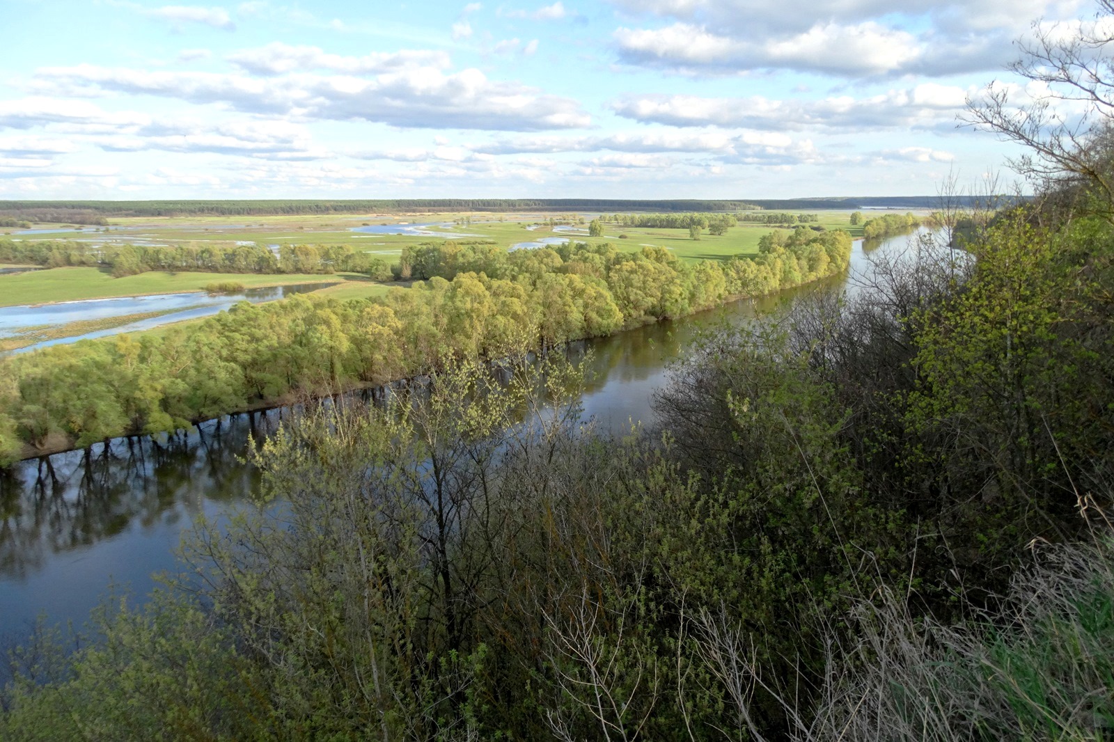 Весняна краса: Десна зачарує туристів довгоочікуваним розливом