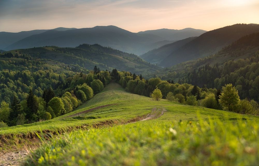 Роскошь природы и идеальная погода: когда стоит ехать за тихим отдыхом в Карпаты