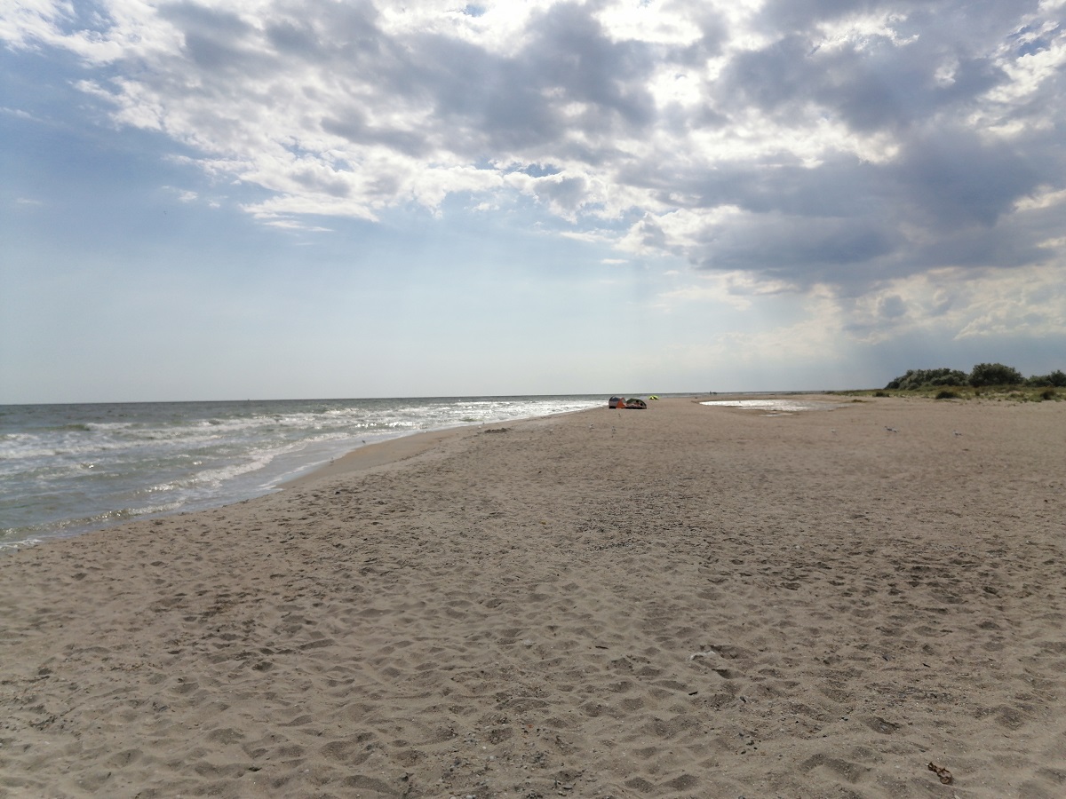 Заповедные зоны и дельфины у берегов: пляжи Бердянска, о которых не пишут в путеводителях