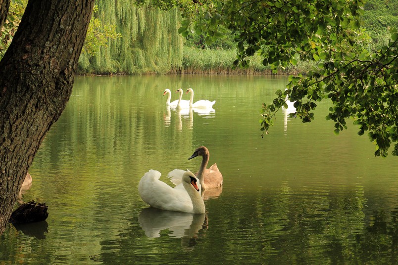 Будиночок рибалки та старовинні садиби: найкращі маршрути поїздок по Україні для літнього вікенду