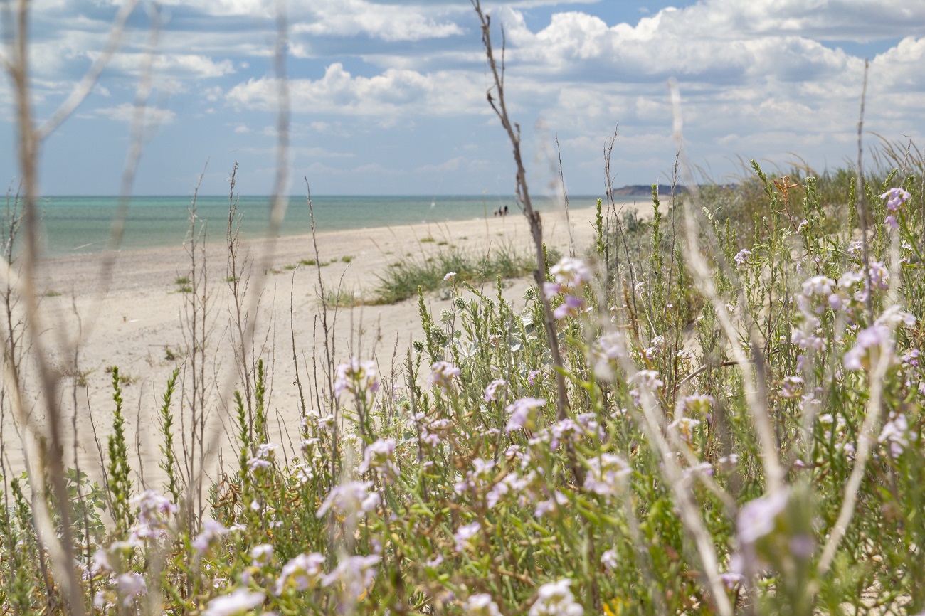Красивейшие закаты: уютное место на Черном море, где всегда мало туристов