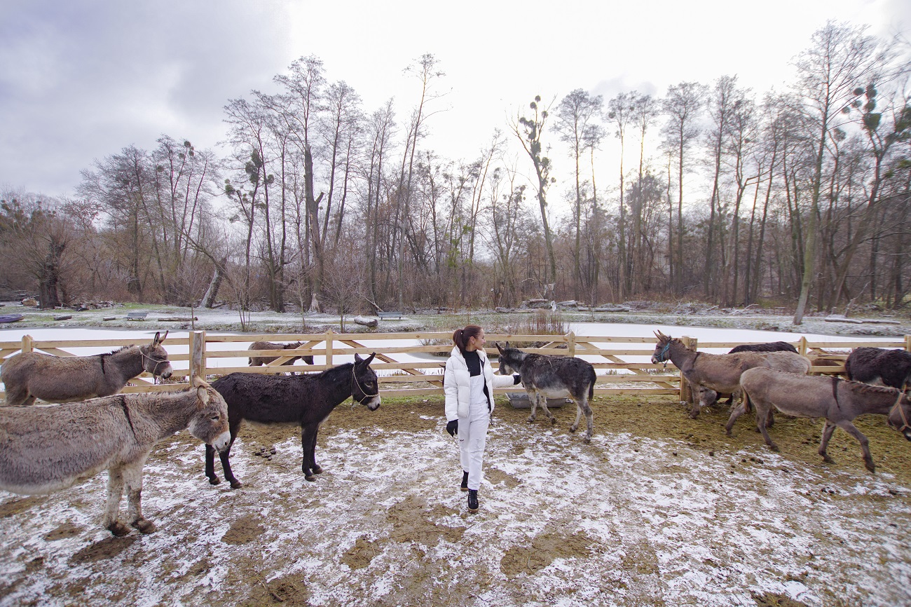 Парк природи та милі тварини: кращі локації для зимових подорожей з дітьми