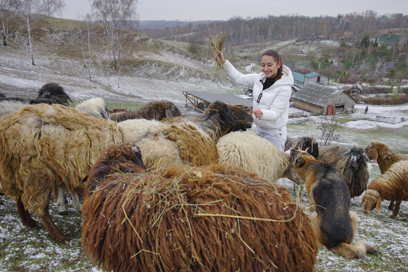 Парк природи та милі тварини: кращі локації для зимових подорожей з дітьми