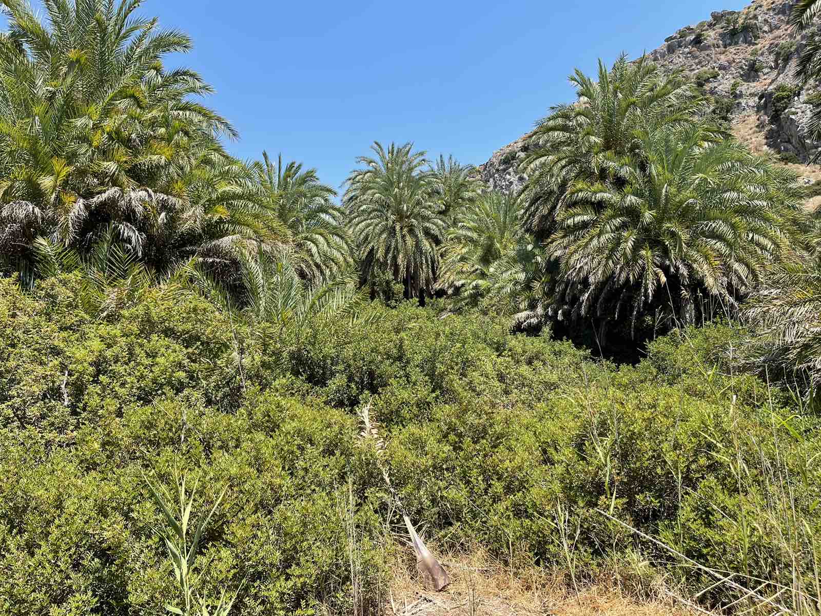 Справжні відкриття: авторський маршрут по Криту, який покаже острів під іншим кутом