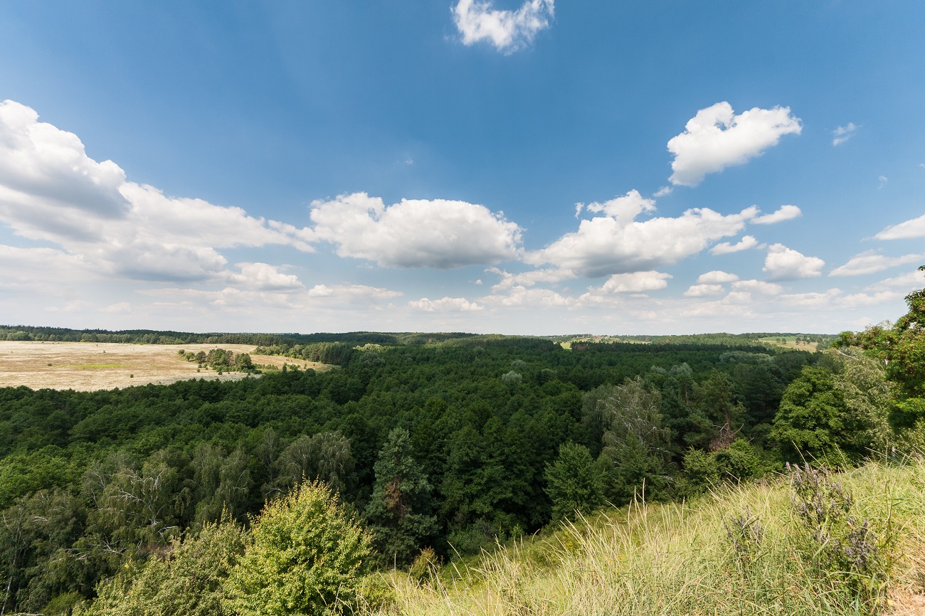 Пикник и шашлыки на природе: лучшие места для идеального загородного отдыха