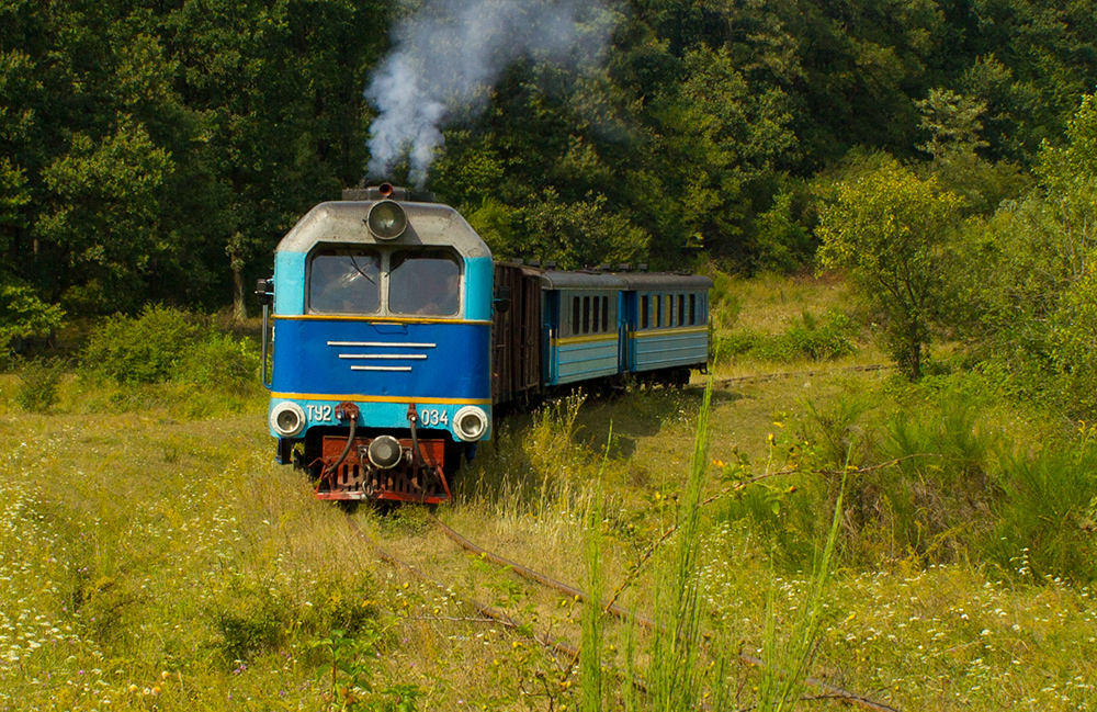 Ретро-потяг та тури на виноробні: історична вузькоколійка на Закарпатті стане музеєм