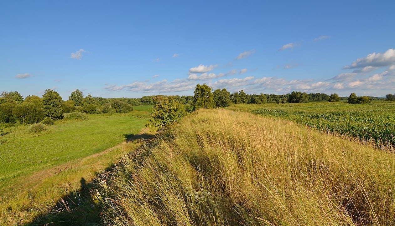 Идеальный отдых: малоизвестное озеро возле Киева очаровывает красотой