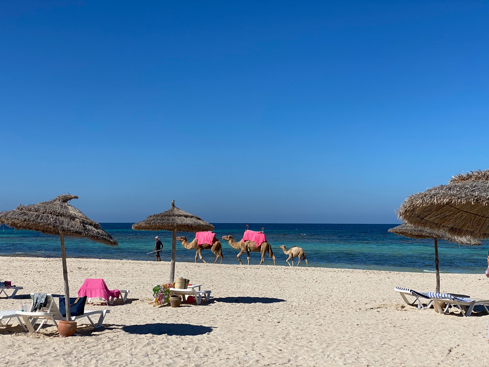 Суворі правила і політична криза: чому в цьому сезоні українці залишилися без відпочинку в Тунісі