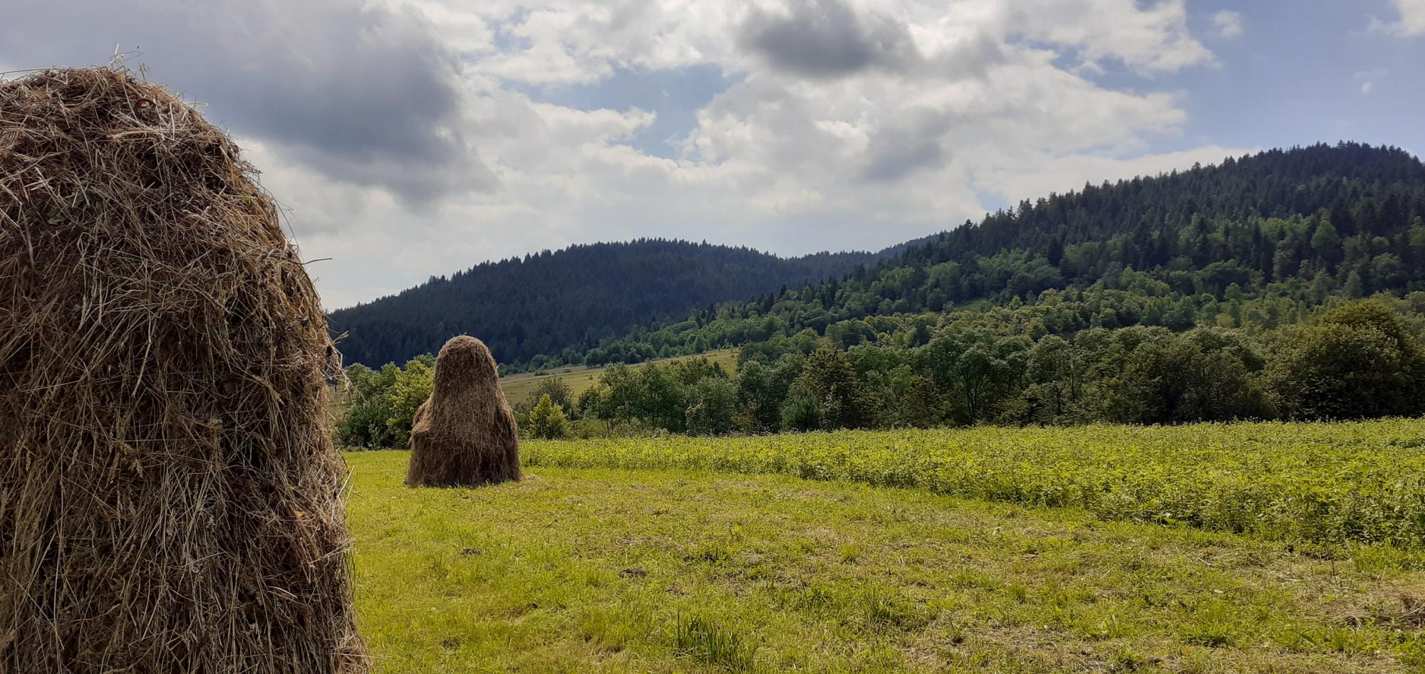 "Дегустация" воздуха и покорение вершины: пять необычных экскурсий для уикенда на Львовщине