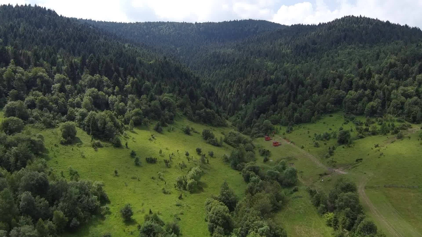 "Дегустация" воздуха и покорение вершины: пять необычных экскурсий для уикенда на Львовщине