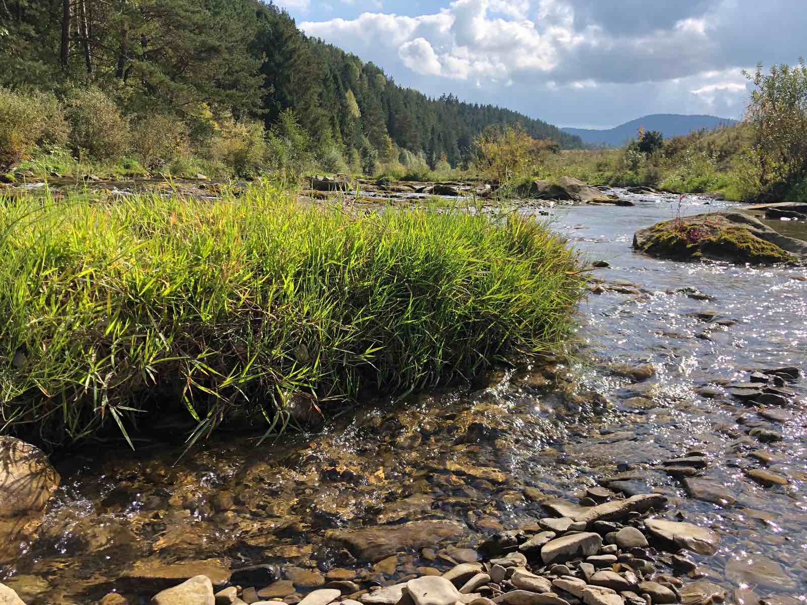 "Дегустация" воздуха и покорение вершины: пять необычных экскурсий для уикенда на Львовщине