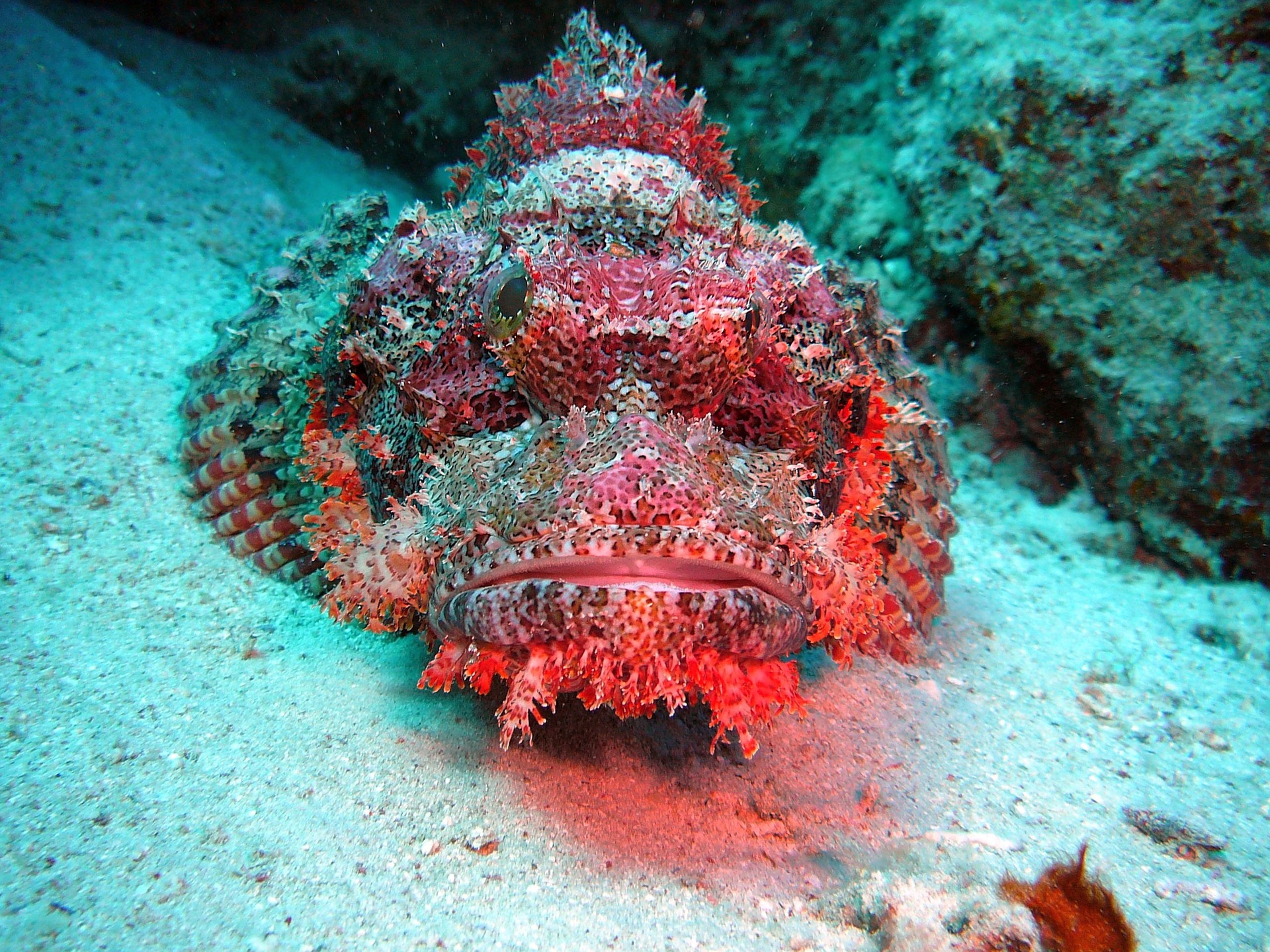 "Немає негативних відгуків": названі найпопулярніші курорти Єгипту