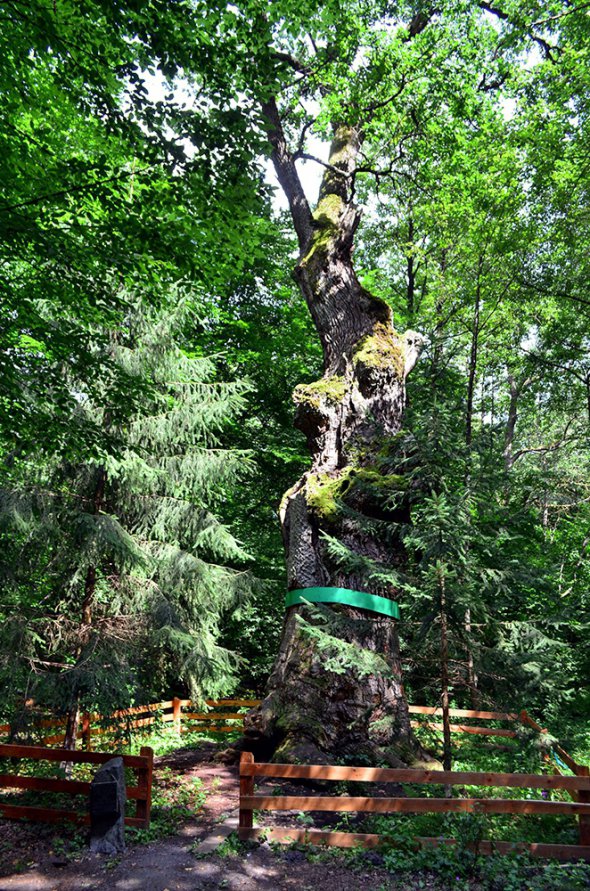 Цінні озера та незвичайні об'єкти: в Україні створять унікальний парк