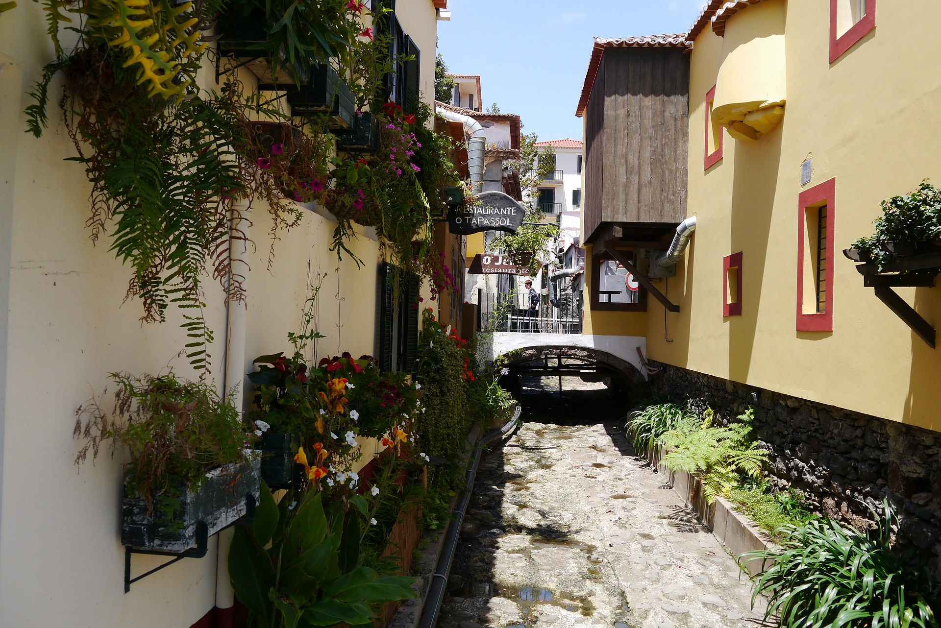 Тільки паспорт і тест: українці полетять на тропічний острів за доступною ціною