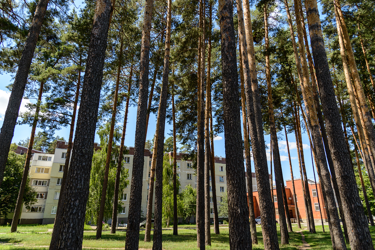 "Живой музей": самобытный город Славутич - настоящее открытие для туристов