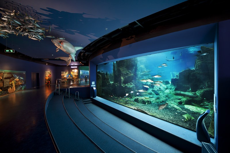 Святыни, античный город и восточные рынки: лучшие экскурсии, которые стоит посетить в Турции