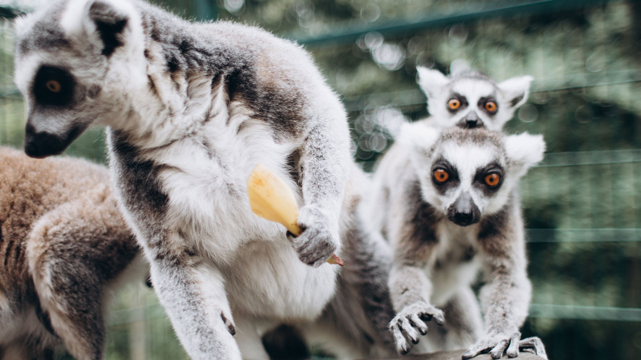 Альтернатива даче: где и по какой цене комфортно отдохнуть за городом в октябре