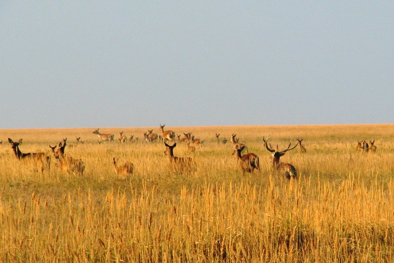 &quot;Невероятные впечатления&quot;: лучшие локации для фотосафари в Украине
