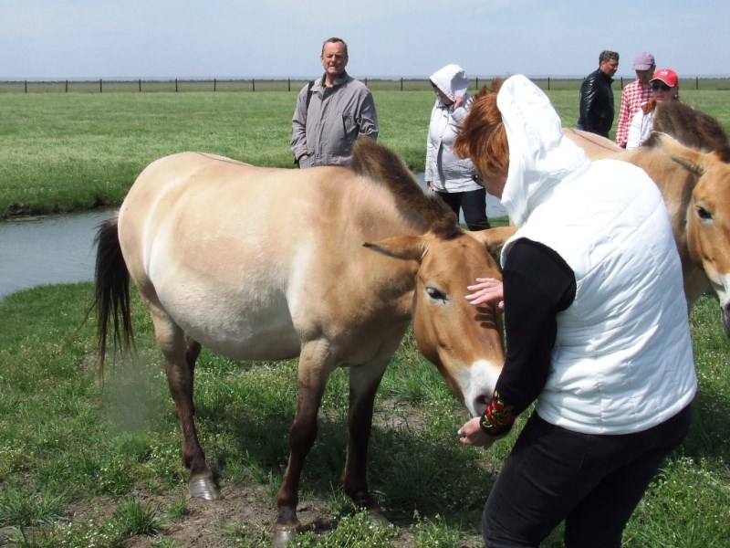 &quot;Невероятные впечатления&quot;: лучшие локации для фотосафари в Украине