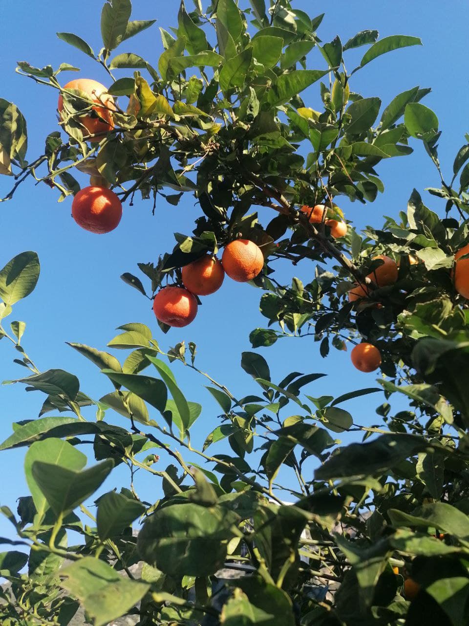 Бухти Середземномор'я: нетиповий курорт у Туреччині, де ідеально відпочивати в будь-який сезон