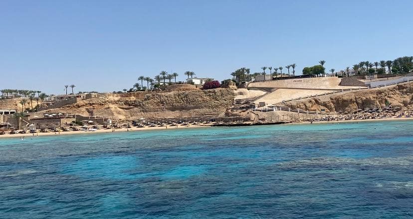 Нестандартный Египет: как отдохнуть в стране летом вместо привычного &quot;все включено&quot;