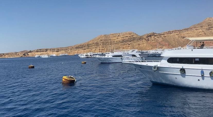 Нестандартный Египет: как отдохнуть в стране летом вместо привычного &quot;все включено&quot;