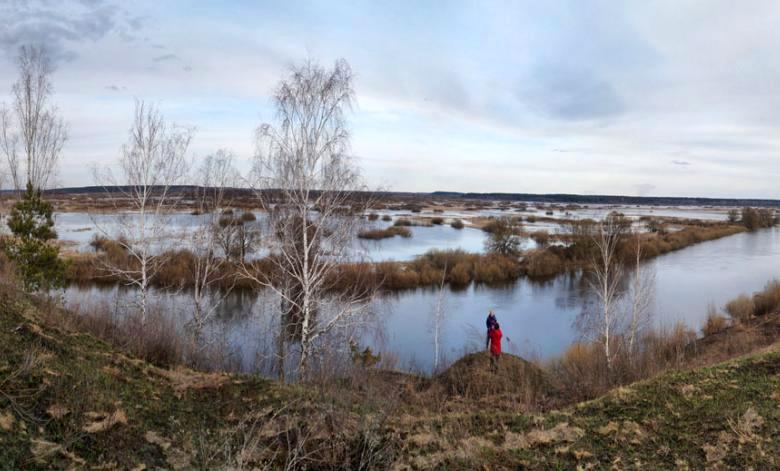 Видовищне явище: чому варто поїхати у мандрівку на Чернігівщину в квітні