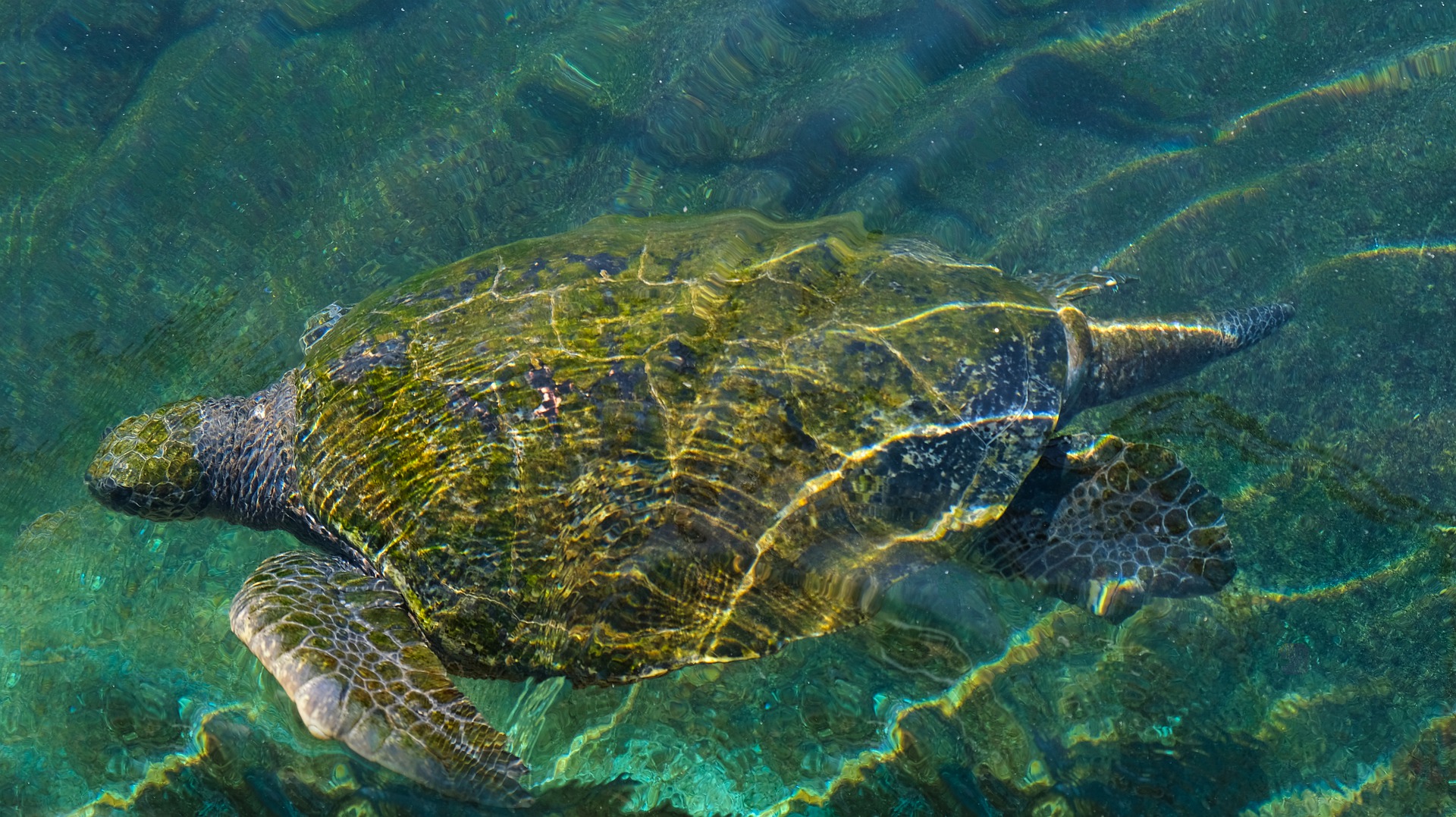 Українські туристи постраждали в Єгипті: яке лікування під час відпустки не покриє страховка
