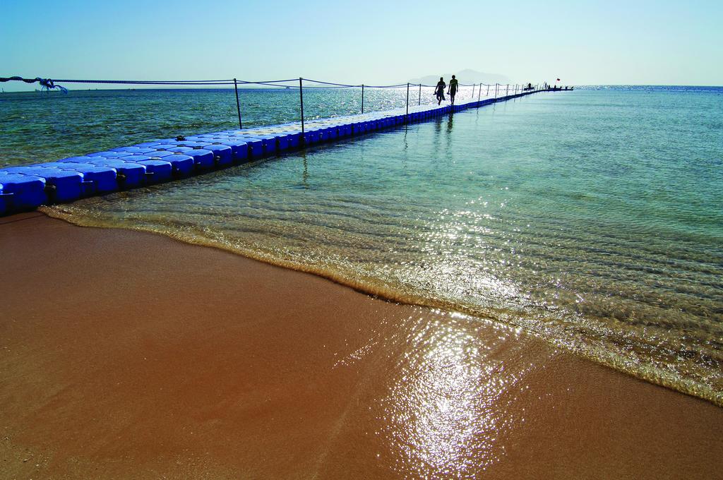 Цены приятно удивляют: сколько стоят горящие туры в Египет в сентябре