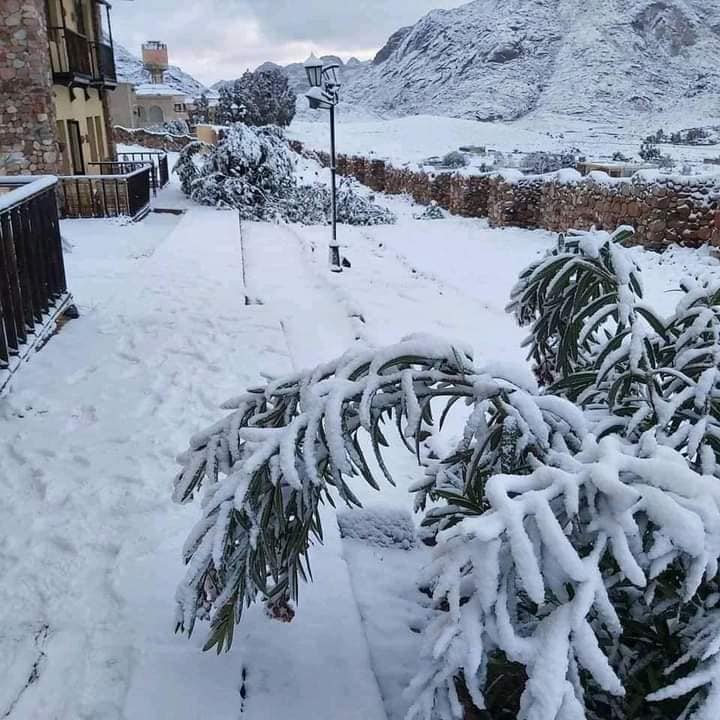 Снег и штормовые волны: туристические объекты в Египте закрывают из-за непогоды