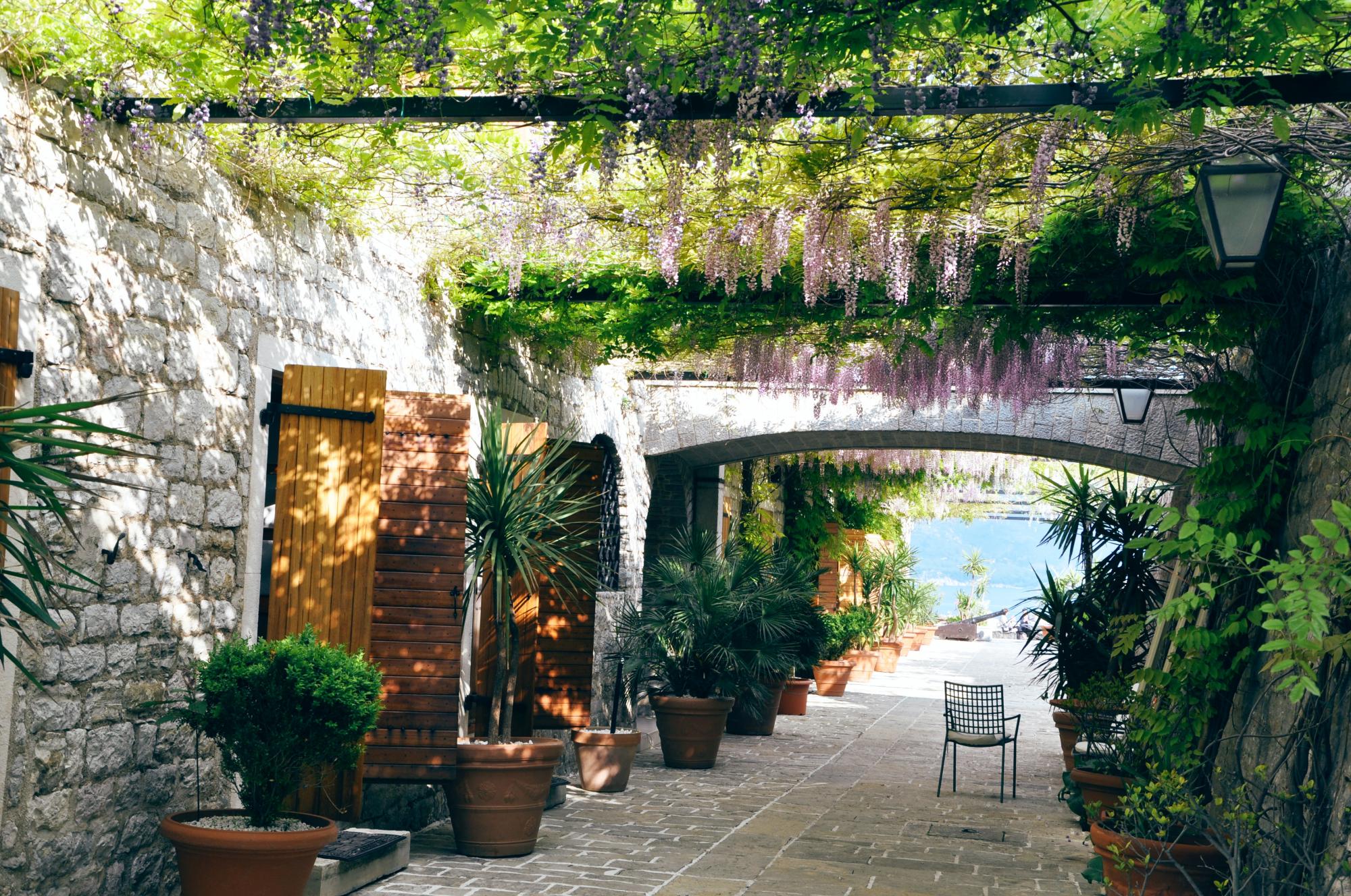 COVID из-за туристов: путешественникам раскрыли важные детали об отдыхе в Черногории летом