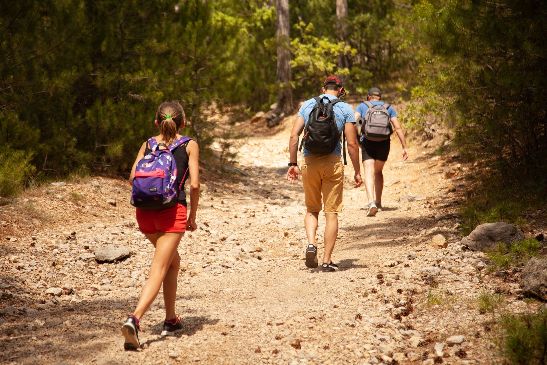Застрягли в горах, застала непогода: що робити туристам під час небезпеки