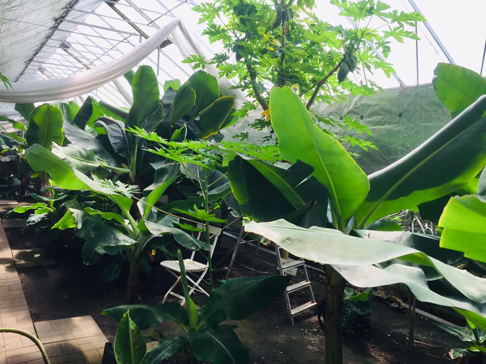 Альтернатива даче: где и по какой цене комфортно отдохнуть за городом в октябре