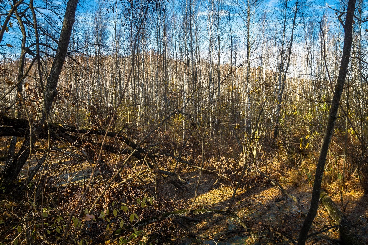 Штольни, затерянный дворец и бирюзовый карьер. Нетипичные локации Кировоградщины для первого путешествия по региону