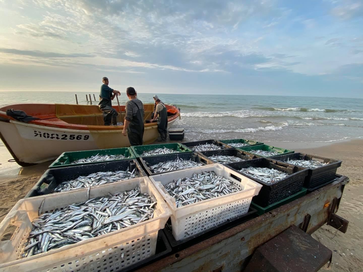 Гастрономическое приключение. Где дегустировать сыры, рыбу и вино в Бессарабии: лучшие локации