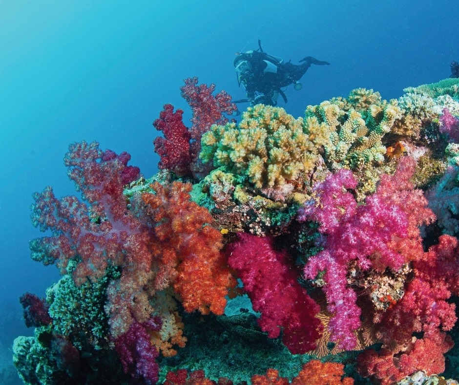 &quot;Настоящий элитный отдых&quot;. Экзотические острова в Океании открылись для туристов впервые за время пандемии