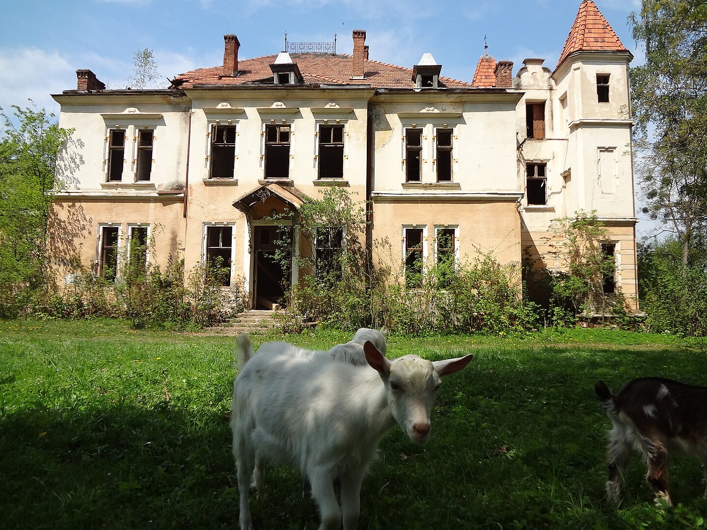 Палац на Львівщині, який вважають проклятим і зараз у ньому бачать привидів