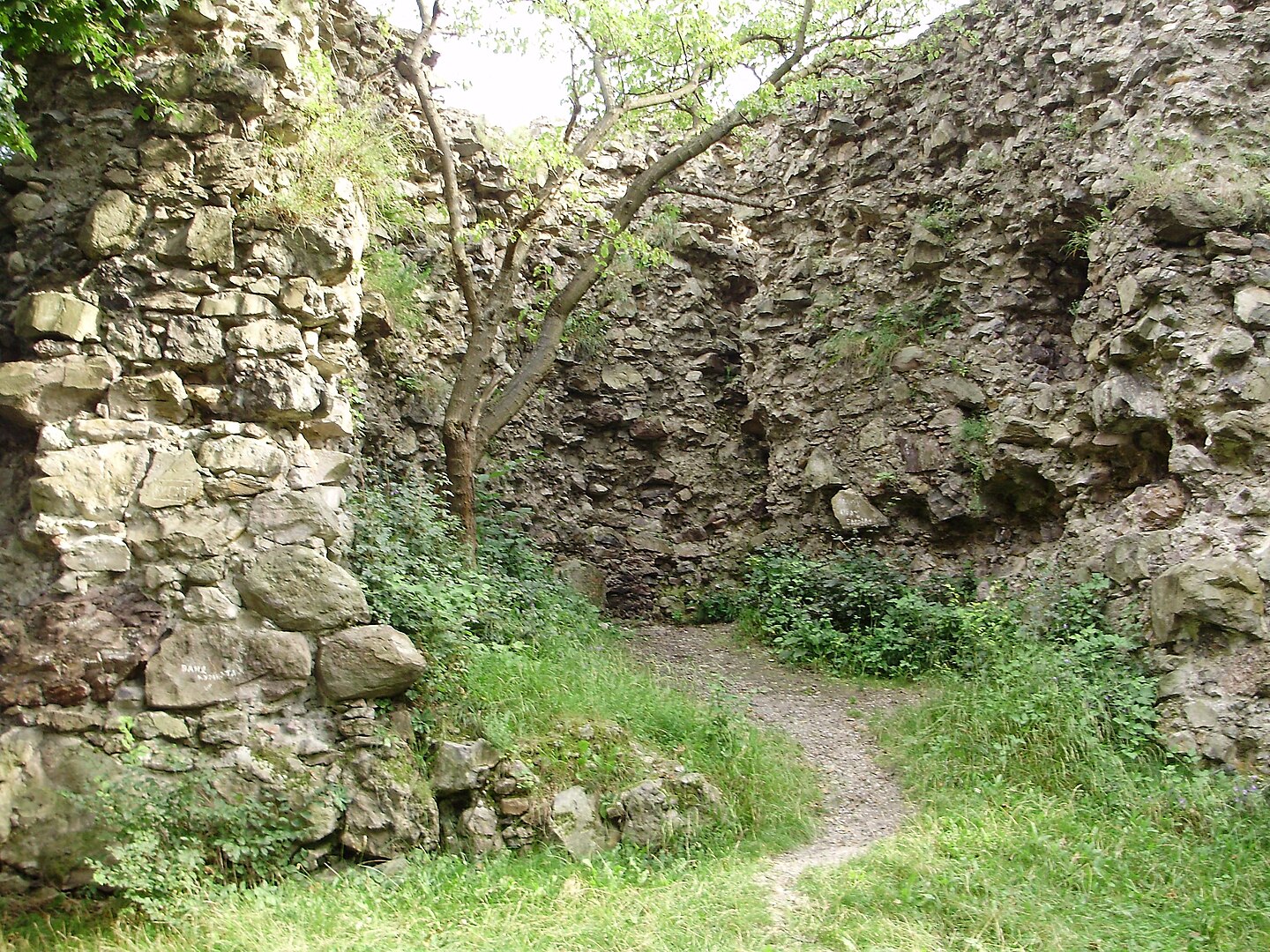 Secret castles of Ukraine's Zakarpattia revealing forgotten history