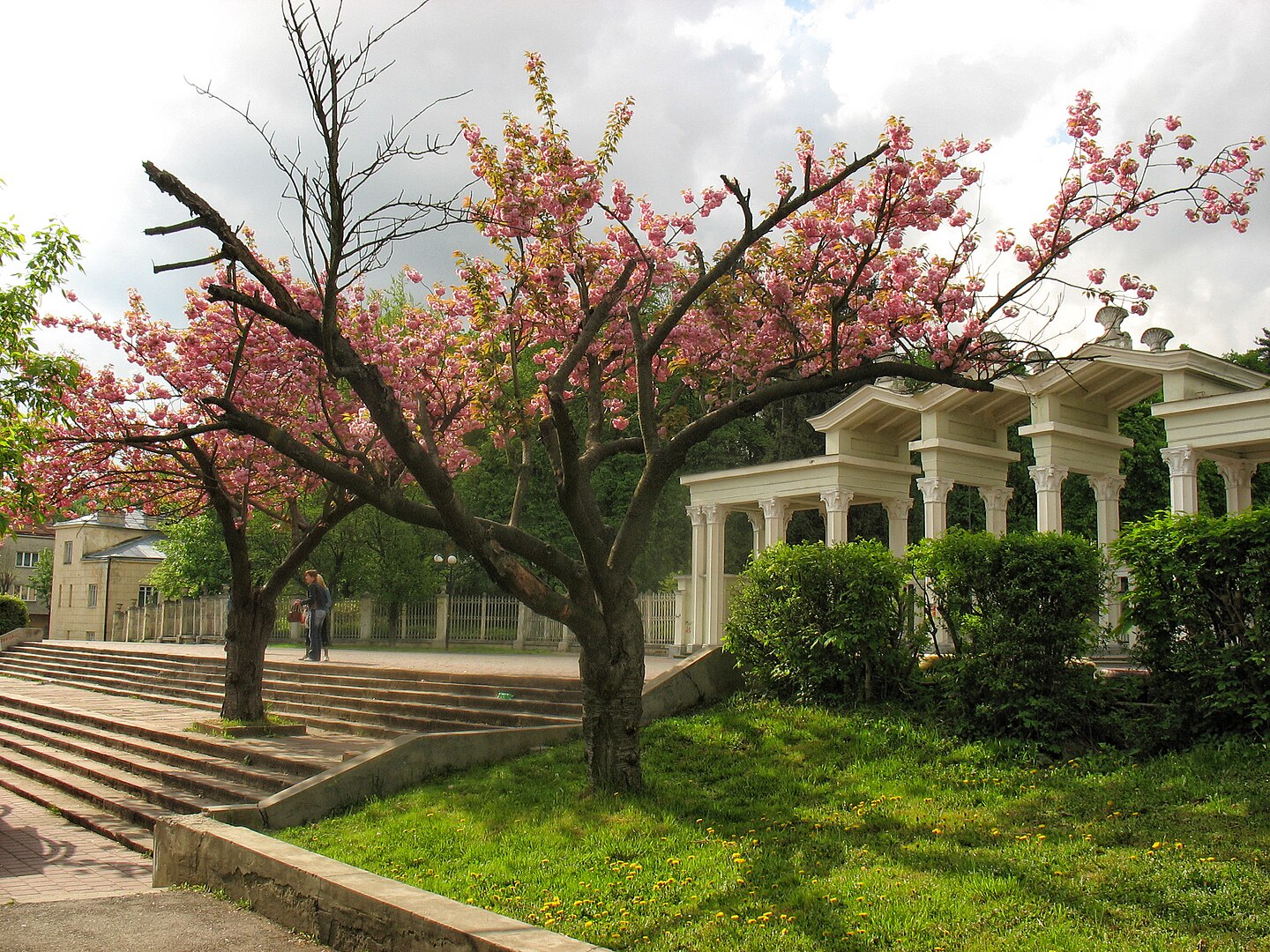 Життя на кістках: міста України та світу, збудовані на старих цвинтарях