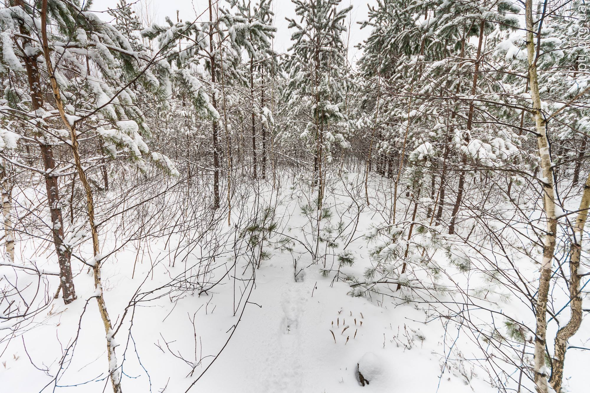 Тузлівські лимани та природа Міжрічинського. Як цікаво провести час у нацпарках взимку
