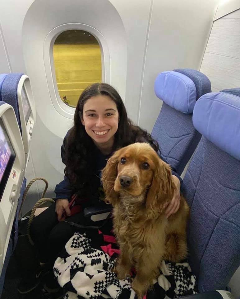 Игрушки, документы и вода. Восемь главных советов, как правильно путешествовать с домашними животными в самолете