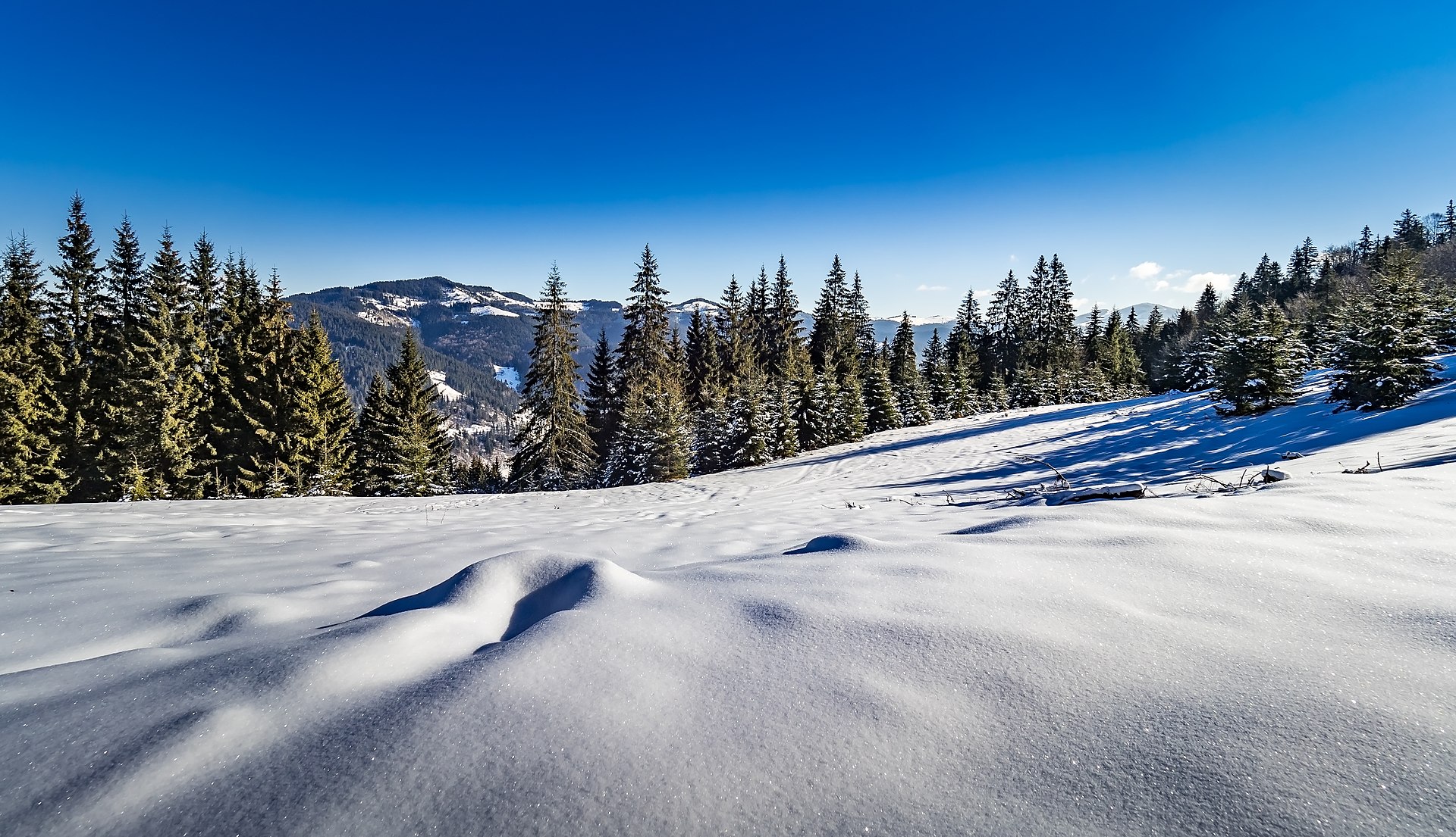 Баланс природи. Що таке національні парки та чому їх рідко відвідують туристи