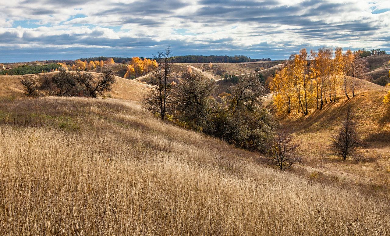 Україна в деталях. Найцікавіші маршрути, які створили для туристів у 2021 році