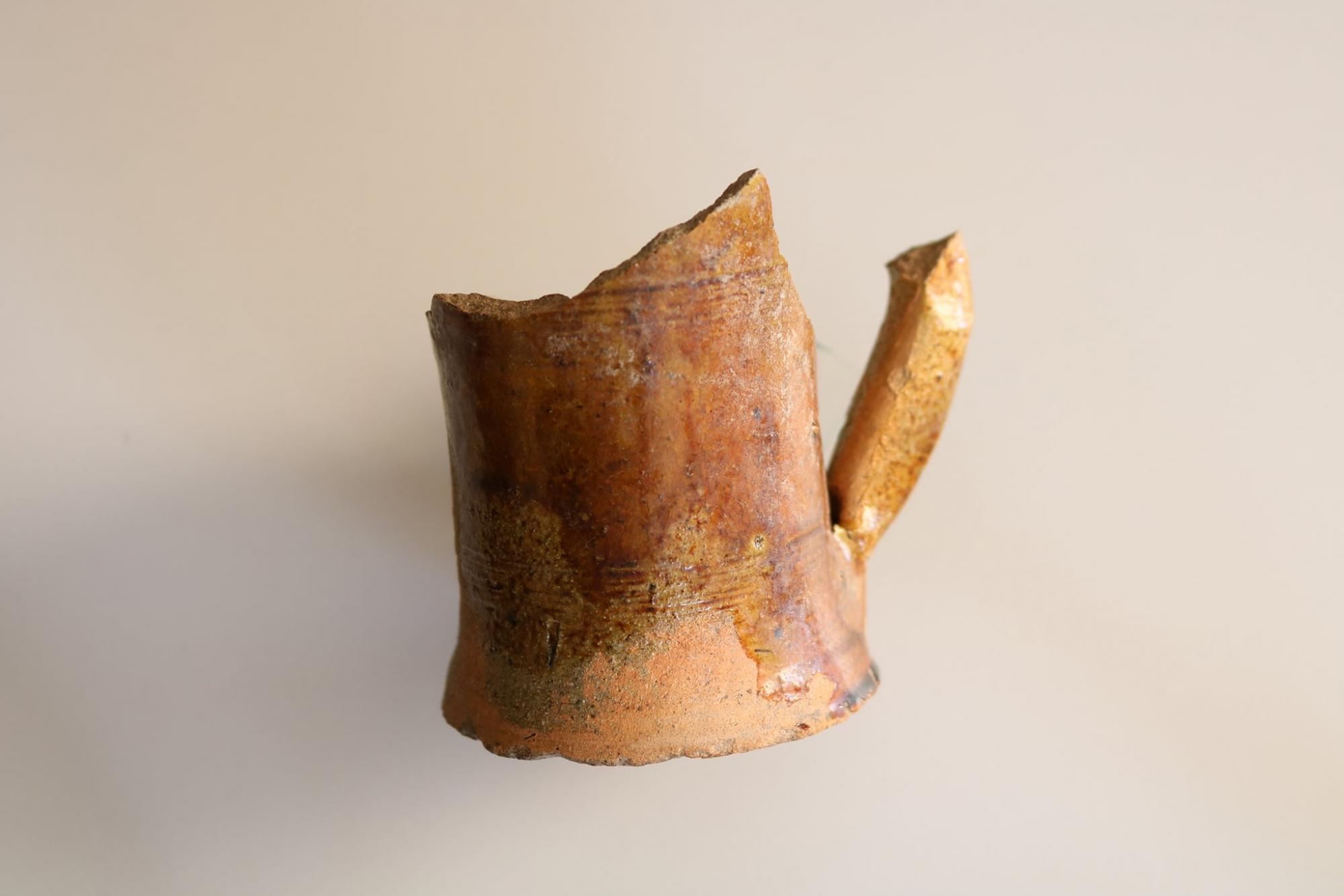 Артефакты возрастом в полтысячелетия. На Тернопольщине обнаружили важные предметы древнего поселения