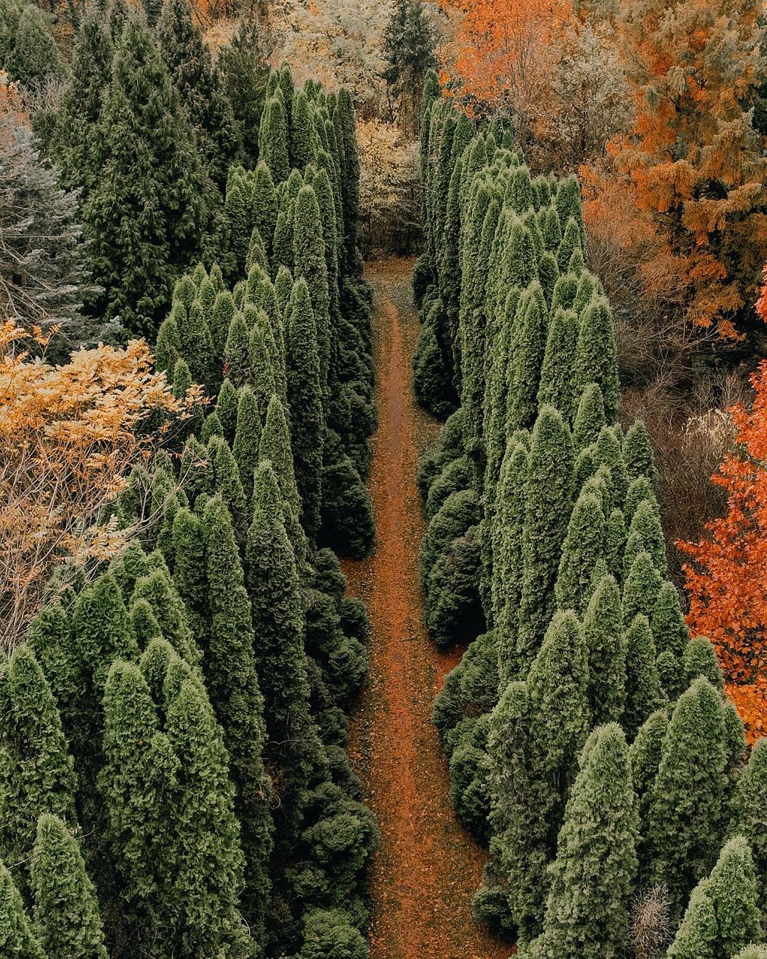 Парки, скалы и водопады: 12 впечатляющих локаций Львовщины для эффектных фото