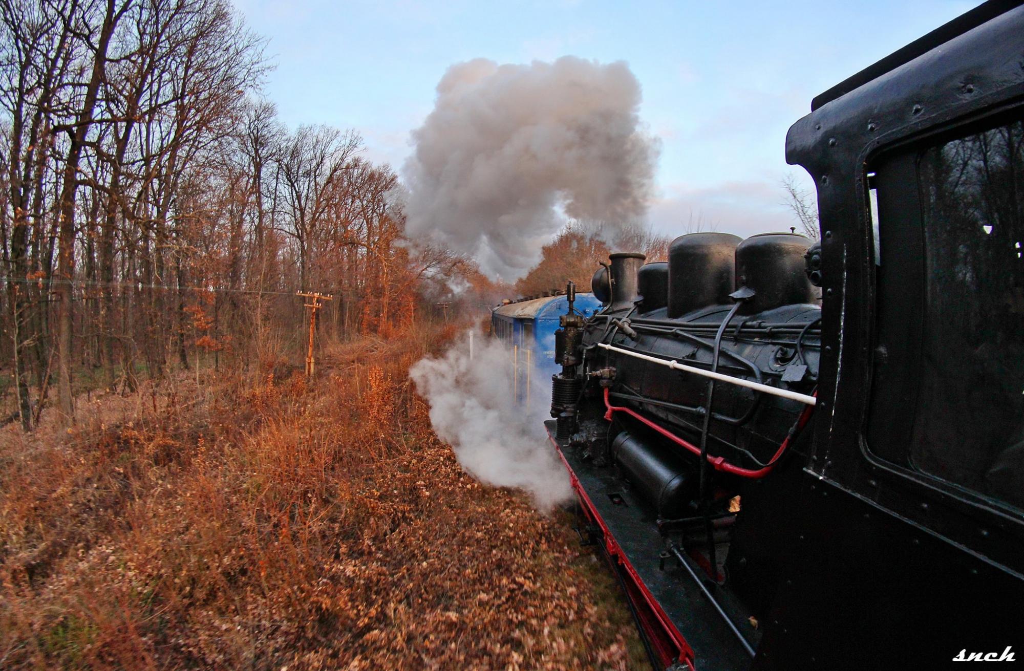 Паровозы, осенние пейзажи и атмосфера 19 века. Впервые для украинских туристов стали проводить ретро-туры на узкоколейках