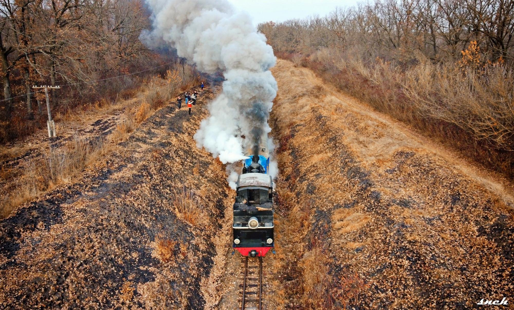 Паровозы, осенние пейзажи и атмосфера 19 века. Впервые для украинских туристов стали проводить ретро-туры на узкоколейках