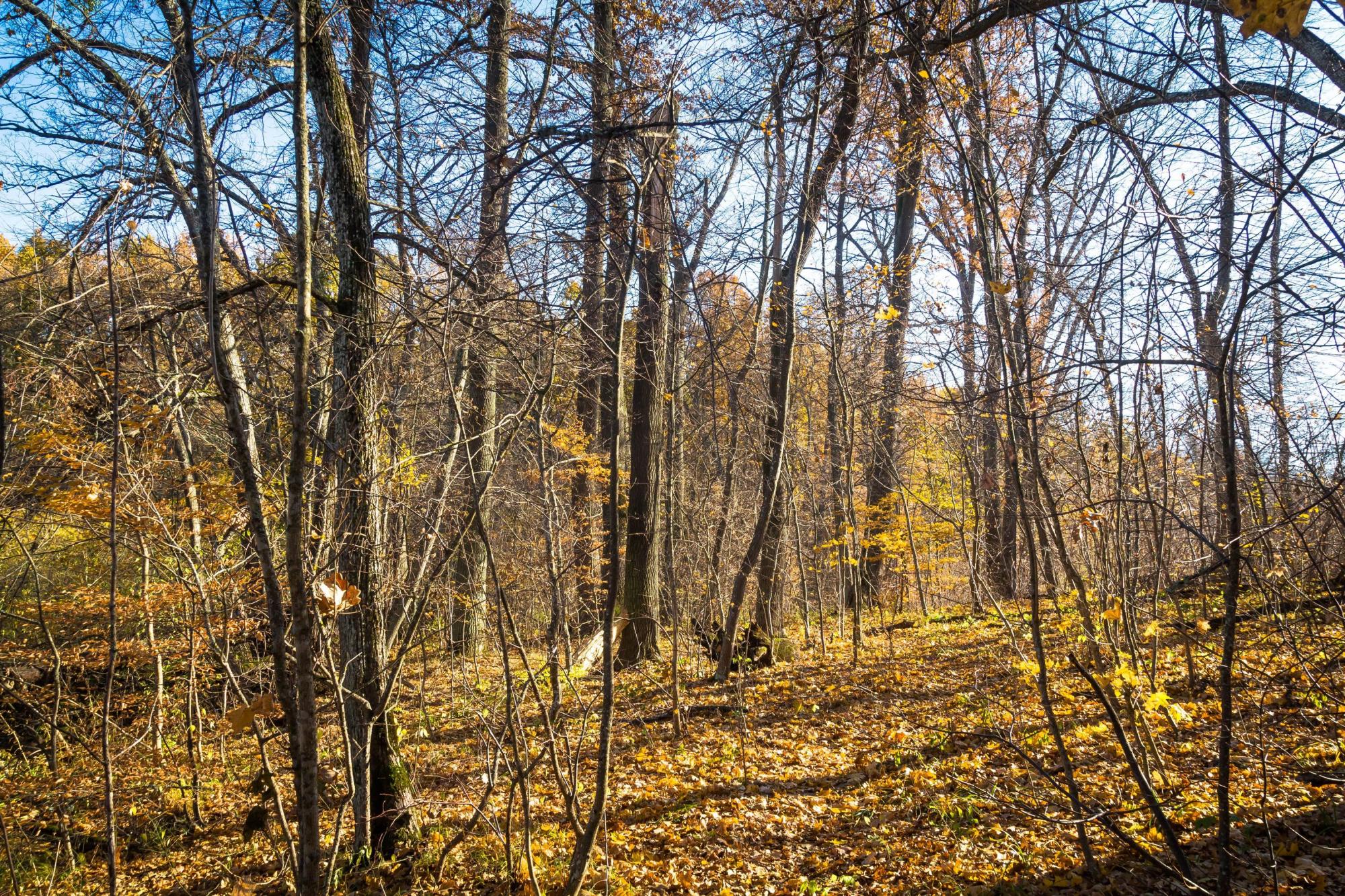 Штольни, затерянный дворец и бирюзовый карьер. Нетипичные локации Кировоградщины для первого путешествия по региону