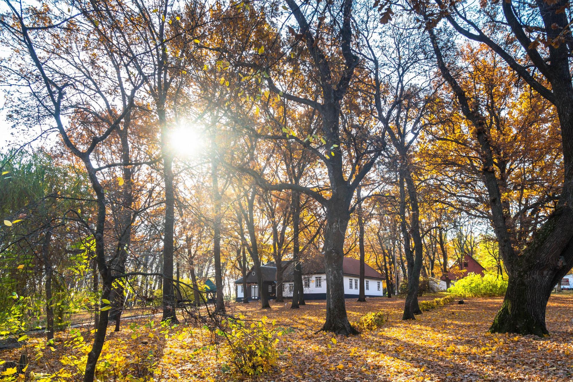 Штольни, затерянный дворец и бирюзовый карьер. Нетипичные локации Кировоградщины для первого путешествия по региону